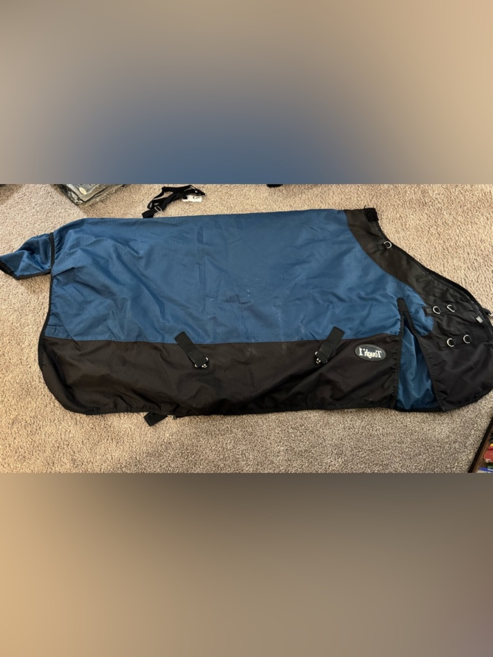 Tough 1 Medium Weight Horse Blanket